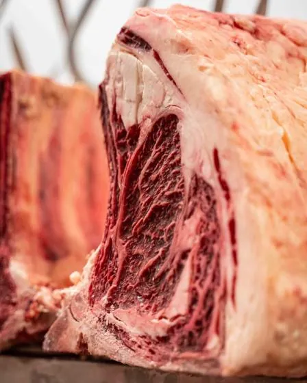 Lake District Farmers produce and farm, Cumbria, photographed by Food Story Media